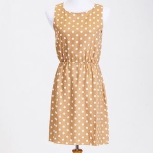 J Crew polka dot dress. Size zero.